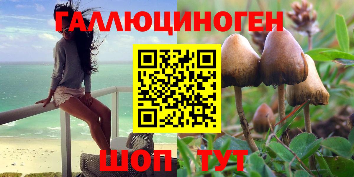 Галлюциногенные грибы Cubensis Наро-Фоминск